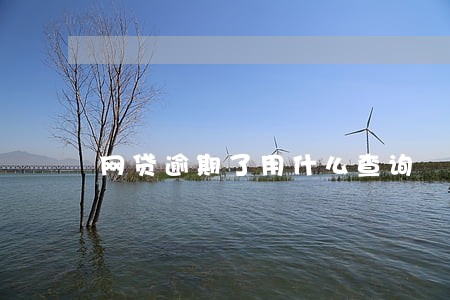 网贷逾期了用什么查询 网贷逾期了用什么查询