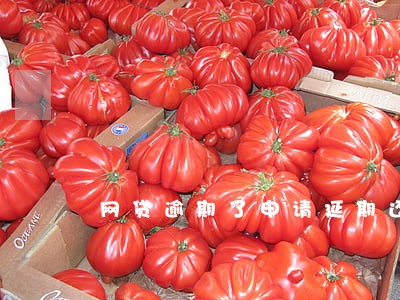 网贷逾期了申请延期还不同意 网贷逾期了申请延期还不同意