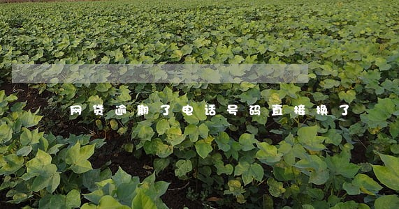 网贷逾期了电话号码直接换了