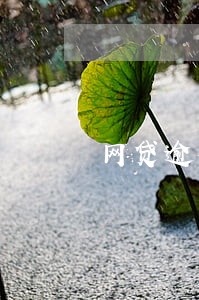 网贷逾期了电话打到公司怎么办 网贷逾期了电话打到公司怎么办