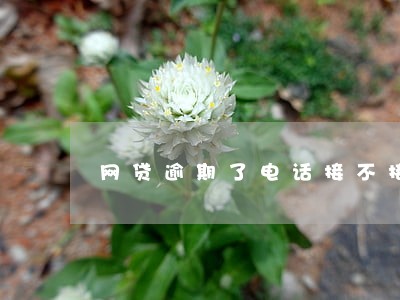 网贷逾期了电话接不接都可以吗 网贷逾期了电话接不接都可以吗