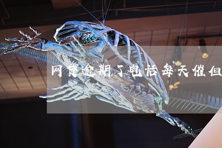 网贷逾期了电话每天催但是没钱还 网贷逾期了电话每天催但是没钱还
