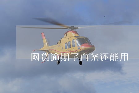 网贷逾期了白条还能用 网贷逾期了白条还能用
