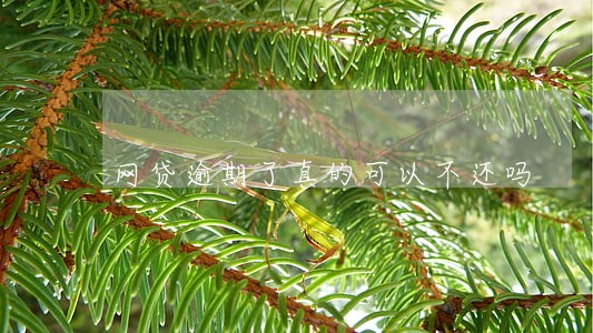 网贷逾期了真的可以不还吗 网贷逾期了真的可以不还吗