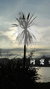 网贷逾期了罚息一直涨吗 网贷逾期了罚息一直涨吗