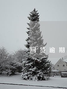 网贷逾期了罚息用不用还 网贷逾期了罚息用不用还