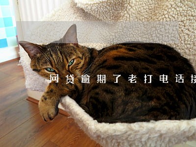 网贷逾期了老打电话接吗 网贷逾期了老打电话接吗