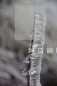 网贷逾期了联系当地政府 网贷逾期了联系当地政府