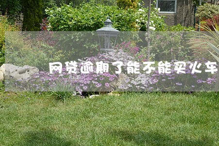 网贷逾期了能不能买火车票 网贷逾期了能不能买火车票