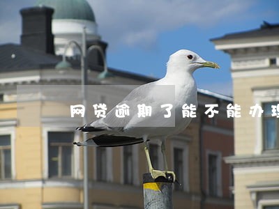 网贷逾期了能不能办理信用卡
