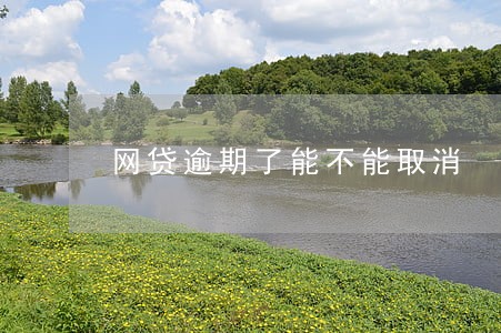 网贷逾期了能不能取消 网贷逾期了能不能取消