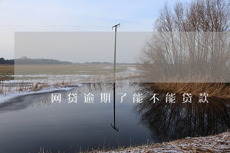网贷逾期了能不能贷款 网贷逾期了能不能贷款