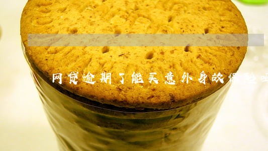 网贷逾期了能买意外身故保险吗 网贷逾期了能买意外身故保险吗