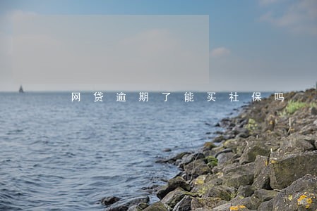网贷逾期了能买社保吗 网贷逾期了能买社保吗