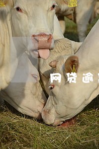 网贷逾期了能出境吗 网贷逾期了能出境吗