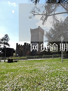 网贷逾期了能创业吗 网贷逾期了能创业吗