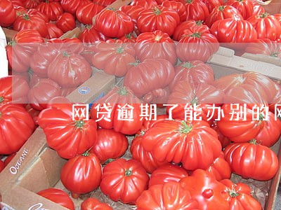 网贷逾期了能办别的网贷吗 网贷逾期了能办别的网贷吗