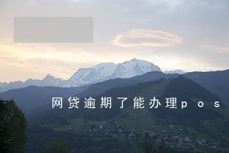 网贷逾期了能办理pos机吗 网贷逾期了能办理pos机吗