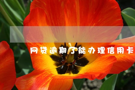 网贷逾期了能办理信用卡吗 网贷逾期了能办理信用卡吗