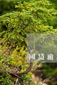 网贷逾期了能办社保吗 网贷逾期了能办社保吗