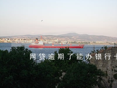 网贷逾期了能办银行卡么 网贷逾期了能办银行卡么