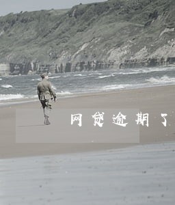 网贷逾期了能办银行卡吗 网贷逾期了能办银行卡吗