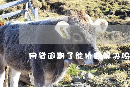 网贷逾期了能协商解决吗 网贷逾期了能协商解决吗