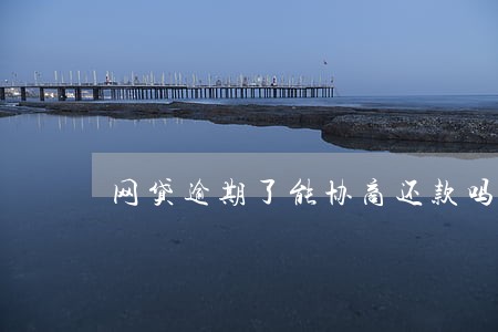 网贷逾期了能协商还款吗