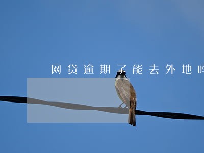 网贷逾期了能去外地吗 网贷逾期了能去外地吗