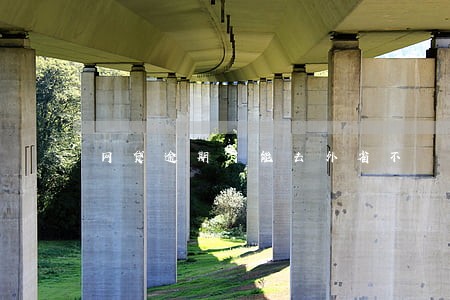 网贷逾期了能去外省不 网贷逾期了能去外省不