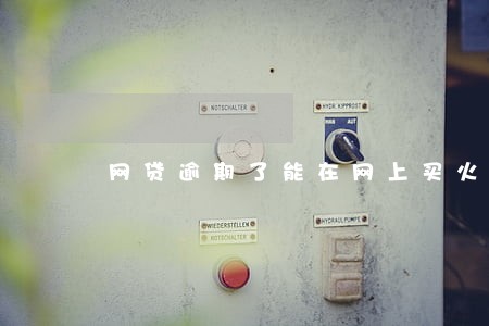 网贷逾期了能在网上买火车票吗 网贷逾期了能在网上买火车票吗