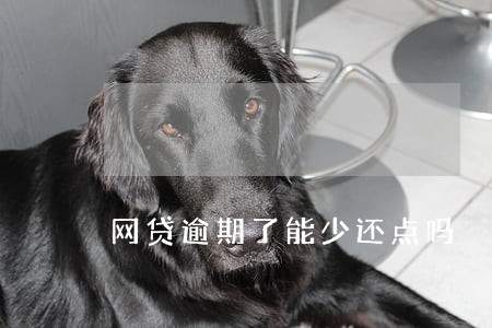 网贷逾期了能少还点吗