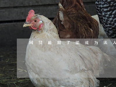 网贷逾期了能成为法人么 网贷逾期了能成为法人么