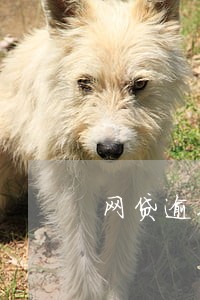 网贷逾期了能找单位吗 网贷逾期了能找单位吗