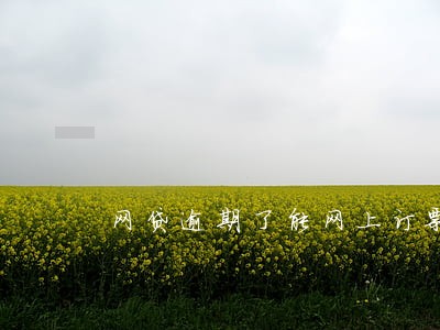 网贷逾期了能网上订票吗 网贷逾期了能网上订票吗
