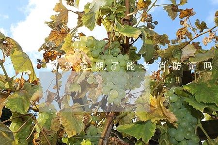 网贷逾期了能考消防证吗 网贷逾期了能考消防证吗