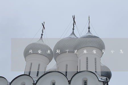 网贷逾期了芝麻信用分怎么办 网贷逾期了芝麻信用分怎么办