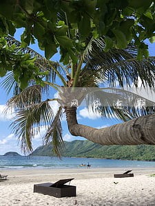 网贷逾期了花呗会关闭吗 网贷逾期了花呗会关闭吗