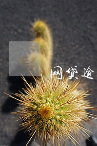 网贷逾期了被仲裁 网贷逾期了被仲裁