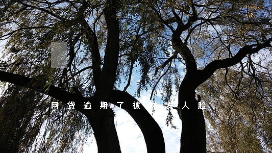网贷逾期了被群发人脸 网贷逾期了被群发人脸