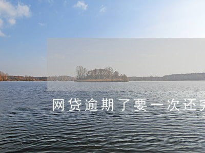 网贷逾期了要一次还完吗 网贷逾期了要一次还完吗
