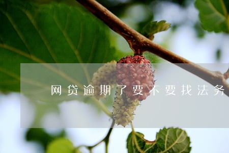 网贷逾期了要不要找法务 网贷逾期了要不要找法务
