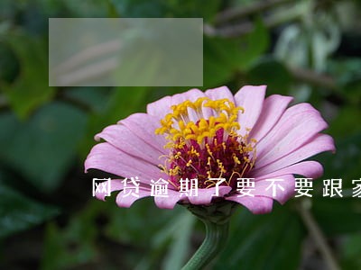 网贷逾期了要不要跟家里人坦白 网贷逾期了要不要跟家里人坦白