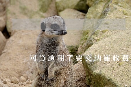 网贷逾期了要交纳崔收费 网贷逾期了要交纳崔收费