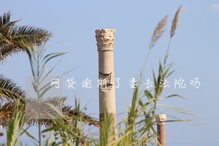 网贷逾期了要去法院吗 网贷逾期了要去法院吗