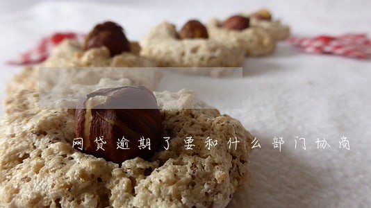 网贷逾期了要和什么部门协商