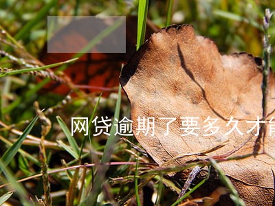 网贷逾期了要多久才能恢复 网贷逾期了要多久才能恢复