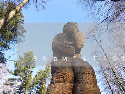 网贷逾期了要怎么贷款 网贷逾期了要怎么贷款