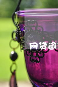 网贷逾期了要查资金去向 网贷逾期了要查资金去向
