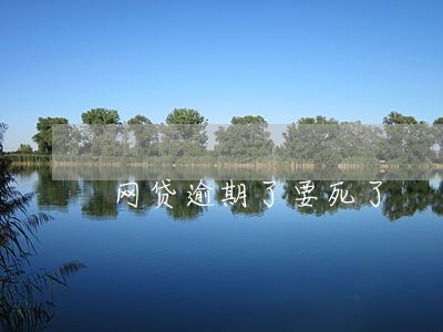 网贷逾期了要死了 网贷逾期了要死了
